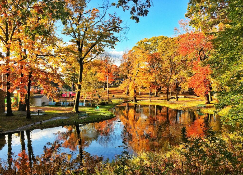 Autumn day in a park in New Haven, CT, reflecting the warm and welcoming approach of Clear to Launch Dental Marketing in dental marketing for New Haven's dental practices.