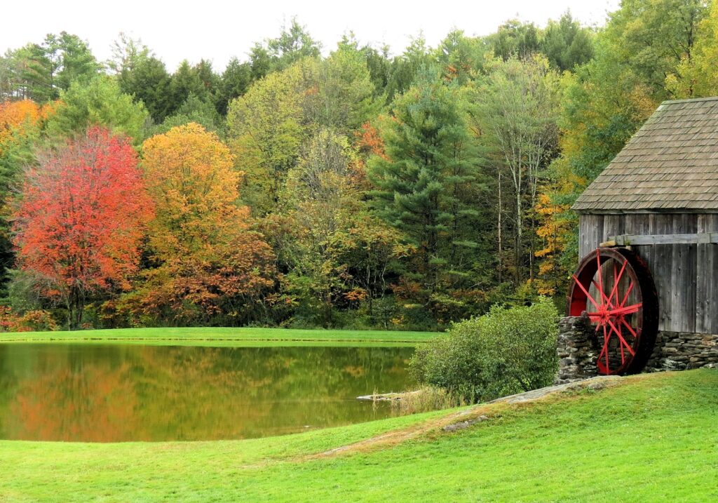 Autumn trees near a barn in Barre, VT, symbolizing the rustic charm and seasonal adaptability of Clear to Launch Dental Marketing' dental marketing for Barre dental practices.
