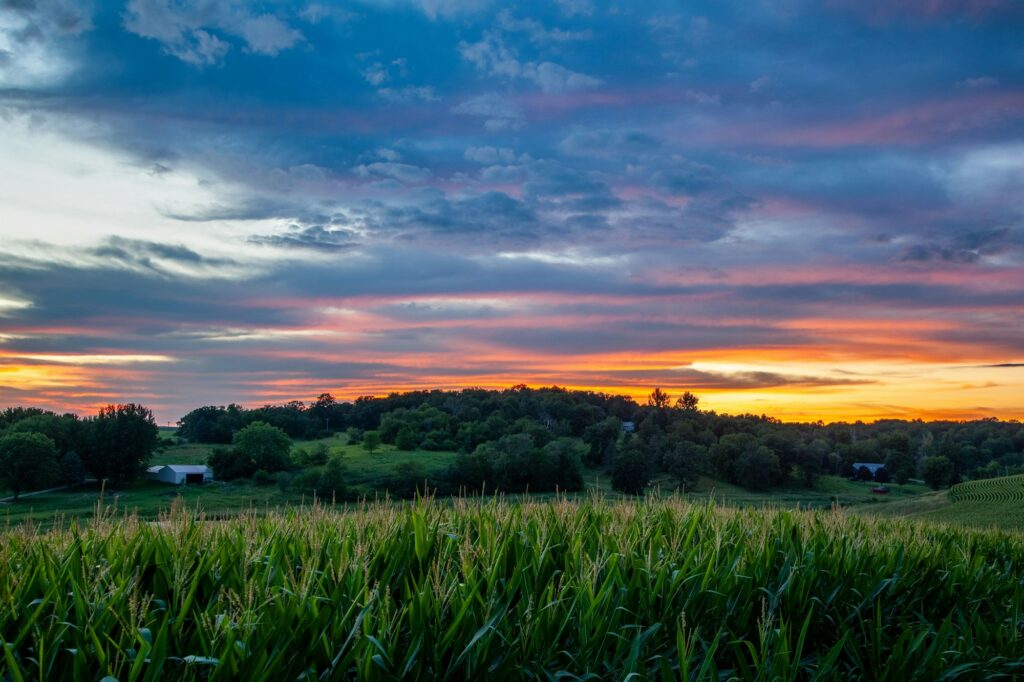 Beautiful sunset in a field near Cedar Rapids, IA, symbolizing the growth and potential in dental marketing by Clear to Launch Dental Marketing for Cedar Rapids dental practices.