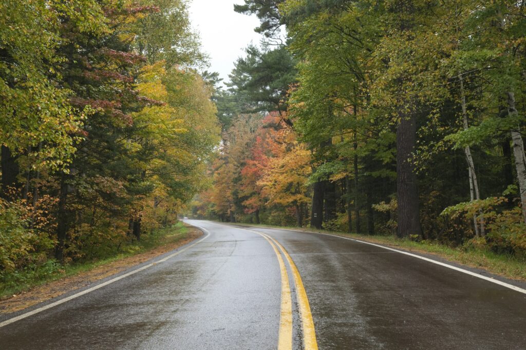 Curving road in northern Minnesota surrounded by trees displaying vibrant autumn colors, near Rochester, MN, symbolizing the seasonal beauty and growth-oriented dental marketing strategies of Clear to Launch Dental Marketing for Rochester dental practices.