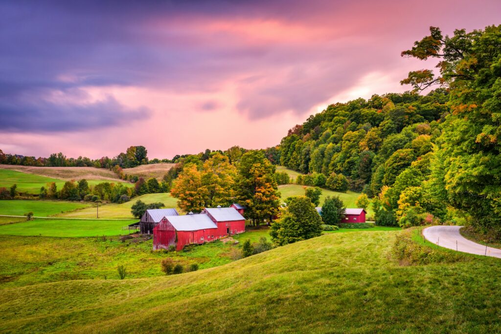 Farmland in Rutland, VT, showcasing the fertile ground for growth and prosperity in dental marketing by Clear to Launch Dental Marketing for Rutland dental practices.
