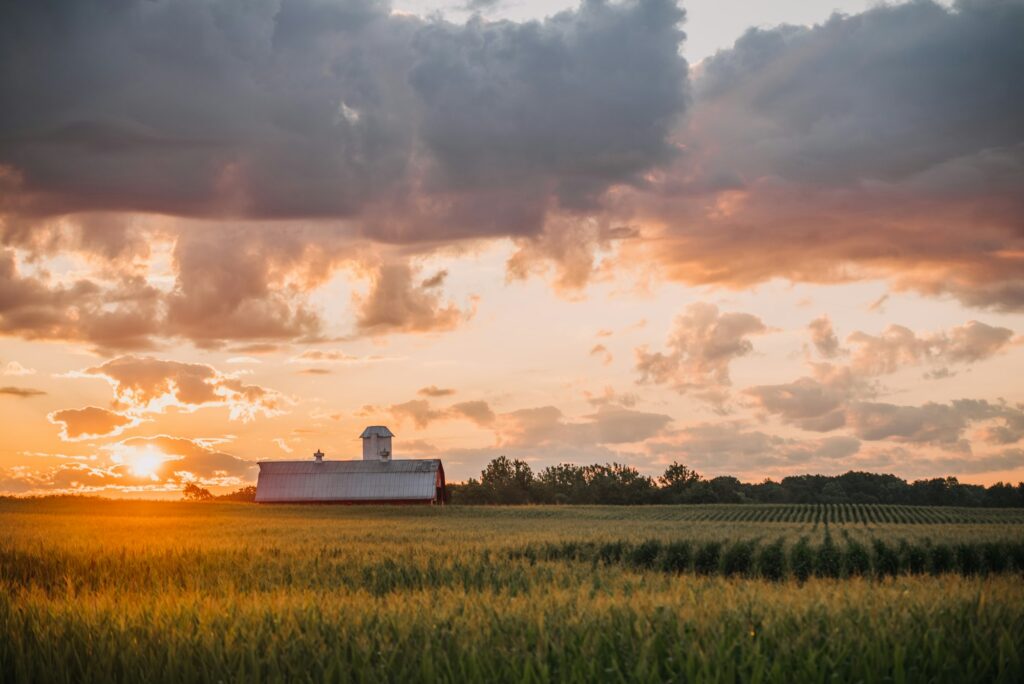 Sunrise over a barn in a cornfield, capturing the serene and rustic charm of Indiana mornings near Evansville, IN, where Clear to Launch Dental Marketing cultivates growth with its dental marketing strategies for Evansville dental practices.