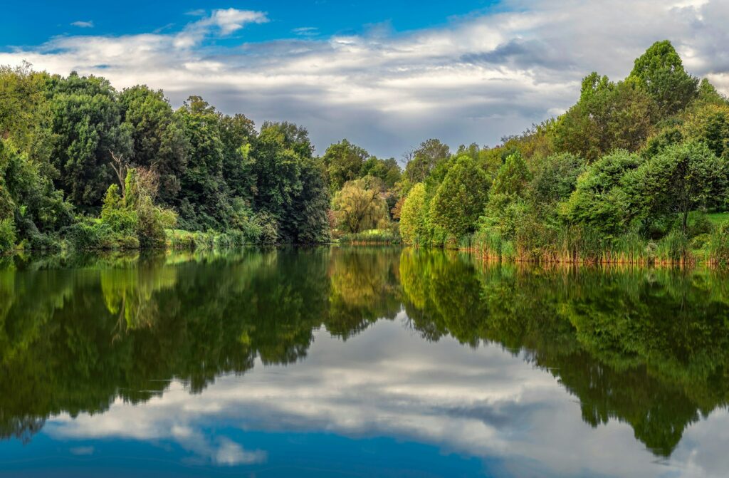 Scenic view of a beautiful lake surrounded by trees near Bowling Green, KY, illustrating the natural beauty and growth opportunities Clear to Launch Dental Marketing brings to dental marketing for Bowling Green dental practices.
