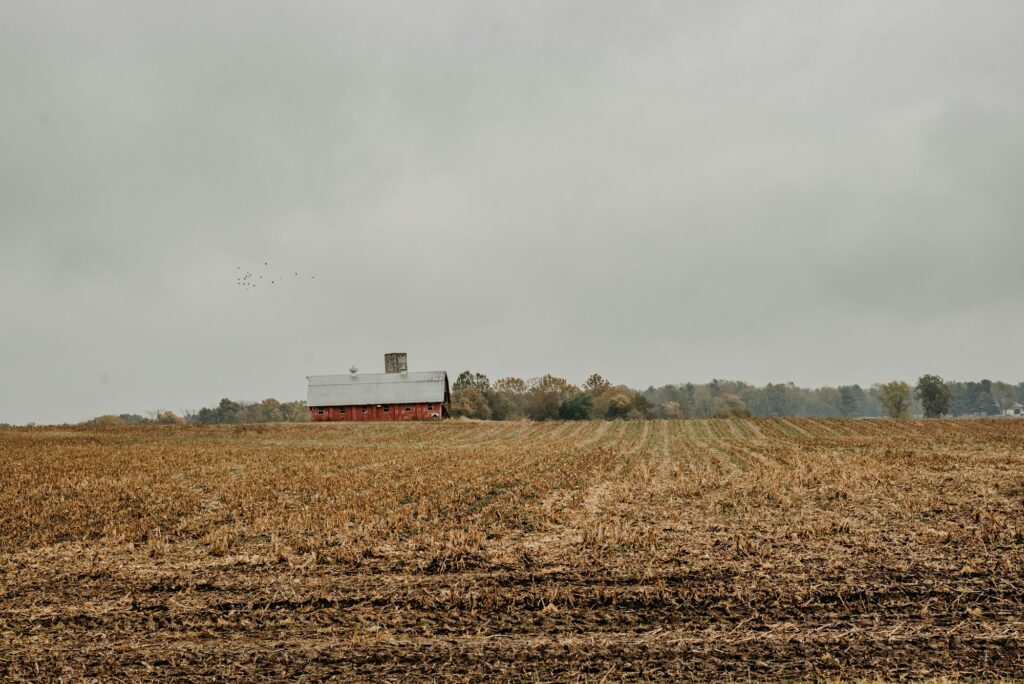 Red barn nestled in the countryside on a farm near Fort Wayne, Indiana, epitomizing the rural tranquility and fertile ground for dental marketing growth by Clear to Launch Dental Marketing for Fort Wayne dental practices.