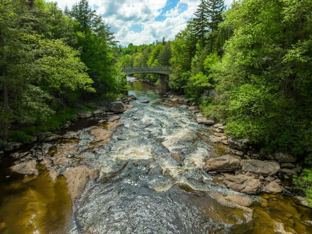 "River meandering through a forest near Huntington, WV, depicting the natural and strategic flow of Clear to Launch Dental Marketing' dental marketing for Huntington dental practices.