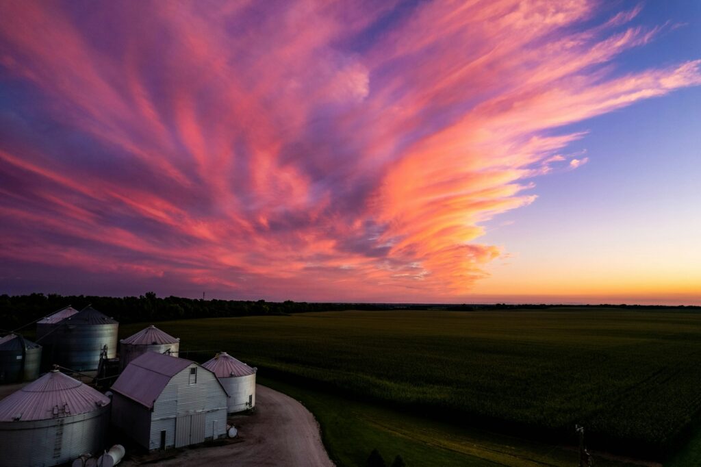 Sunset over a cornfield near Aurora, IL, symbolizing the fertile ground and vibrant potential of Clear to Launch Dental Marketing' dental marketing strategies for Aurora dental practices.