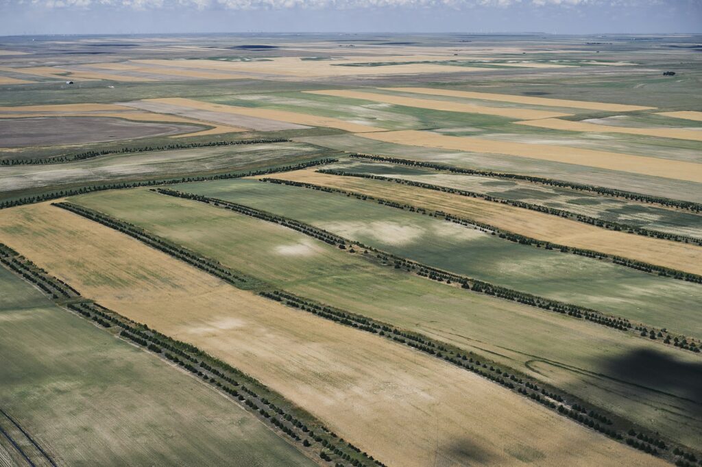 Farm fields stretch across the landscape of Bellevue, NE, USA, showcasing the agricultural beauty of Nebraska and Clear to Launch Dental Marketing' strategic dental marketing initiatives tailored for Bellevue dental practices.