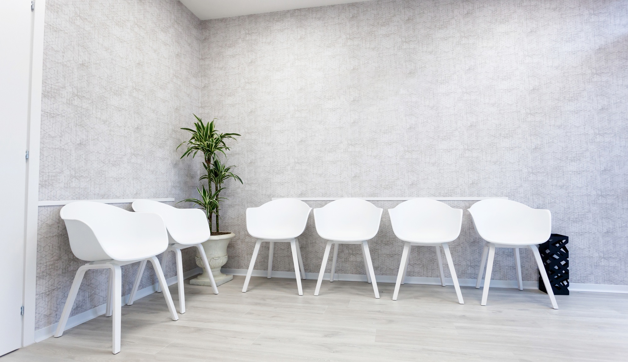 Empty modern dental waiting room with white chairs, highlighting the need for effective patient growth strategies